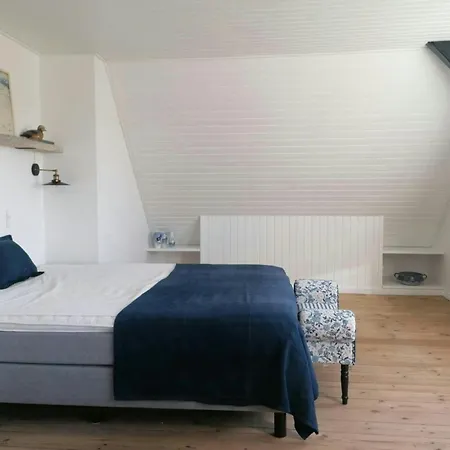 Nature Gem Near Haderslev With 160-year-old Beech