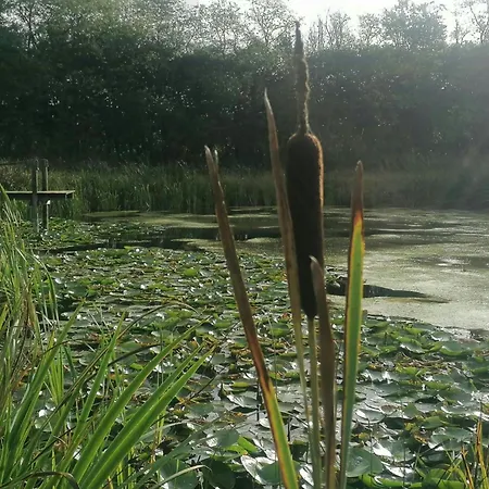 펜션 Nature Gem Near Haderslev With 160-year-old Beech