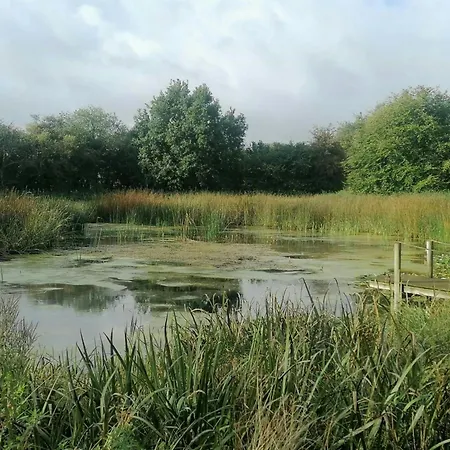 Nature Gem Near Haderslev With 160-year-old Beech