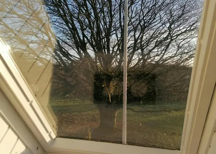 Nature Gem Near With 160-year-old Beech