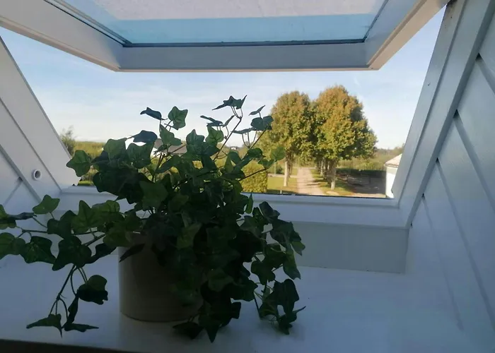 Nature Gem Near With 160-year-old Beech Casa de Férias